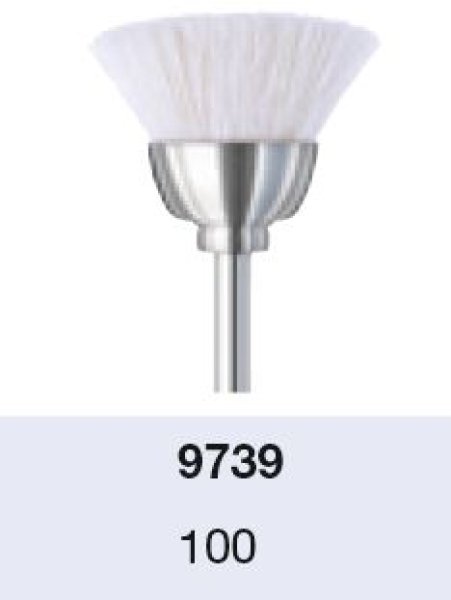 Bürsten/Schwabbel Preis gilt für 6 Stück je Artikel  in kl. Box